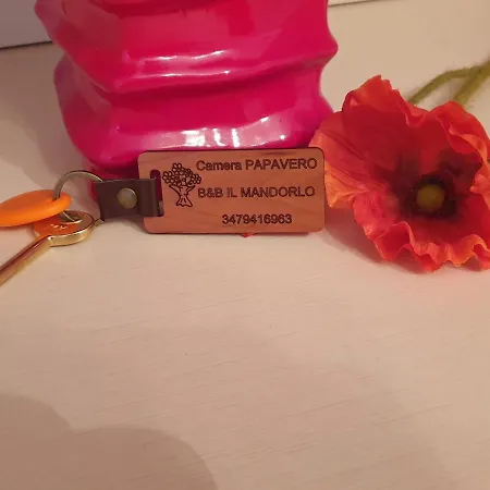 Nocleg ze śniadaniem Il Mandorlo Cortona