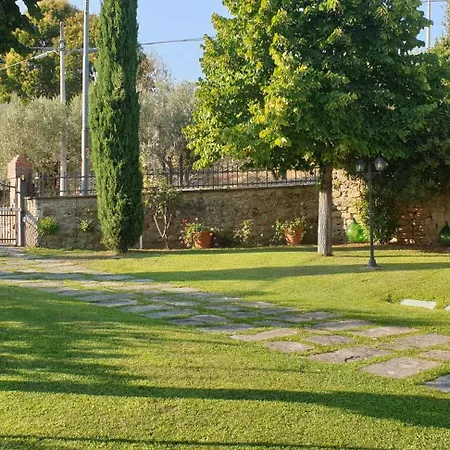 Il Mandorlo Cortona