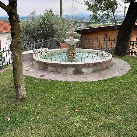 Il Mandorlo *
