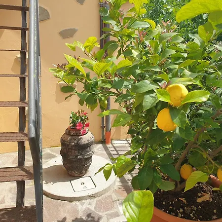 Nocleg ze śniadaniem Il Mandorlo 3*